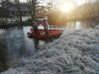 elfiskeri 2019