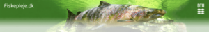 Seniorklub Fiskerly @ Bidstrup | Hadsten | Danmark