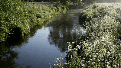 Lilleåen HLF Fiskevand