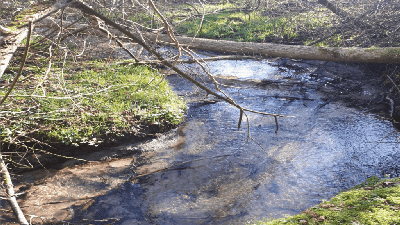 Lilleåen HLF Fiskevand